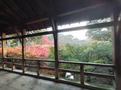 秋の特別拝観　東福寺 7:30から入場できて予約制。そのため紅葉の季節もゆとりがあります。
