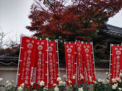 東福寺そばの同聚院にも寄り道しました。