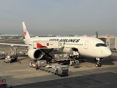 東京・羽田空港第1ターミナル 2F

本日搭乗する日本航空JAL107便（エアバスA350-900）の機体の写真。

全てのクラスにパーソナルモニターが装備された機材です (*^O^*)