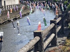 栃木は蔵の街と呼ばれているらしく、歩いているだけでわくわくするような素敵な街並みです。
こどもの日の前日だったのでたくさんの鯉のぼりを見ることができました。
とても良い雰囲気です。