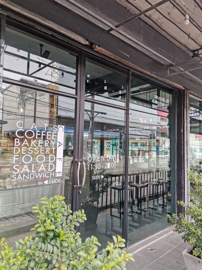 CAT 'n' A CUP Cat Cafe　Chiangrai <br />キャット　ン　ア　カップ　チェンライ<br /><br />本当だったら毎日通っちゃう予定だったんだけど、<br />宿でネットフリックス見たり、頻繁に宿変更したりと何気に忙しくて<br />今日しか来れませんでした。