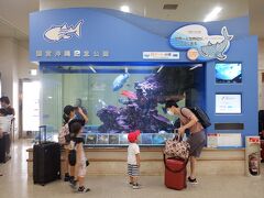 　那覇空港に着くと、いつも写真撮るスポットです。(笑)　

　これ見ると沖縄に来たなーといつも思います。