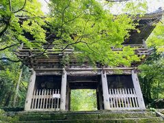 牧野植物園のお隣の竹林寺にも行ってみます。
この少し前にザーッと通り雨がありました。