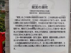 国指定天然記念物及び名勝とのこと。
この日は風が無く、打ち寄せる波は穏やかで「潮吹」現象は全く観られなかった。
そう言えば長門市はジオパーク参加登録が無いが、海蝕地形などの宝庫で他にも奇観が多そうだ。