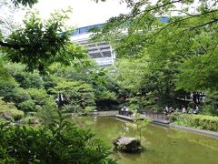 じっくり見たのは初めての横浜公園。