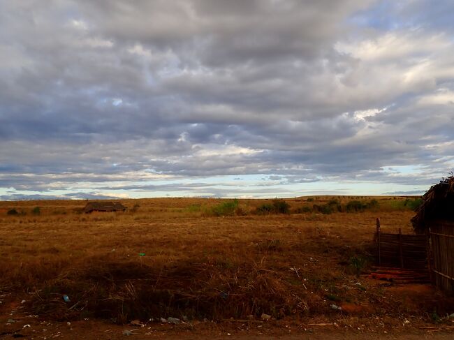 マダガスカルの大地をバスは走ります。