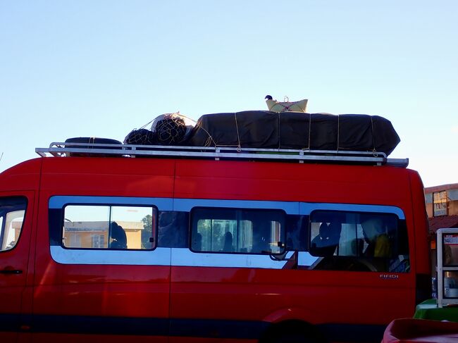 バスの上で七面鳥が顔を出します。