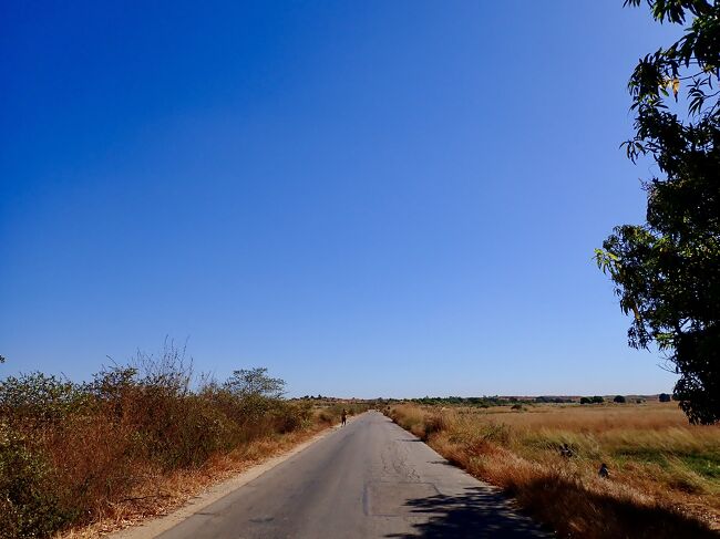 真っ青な空の下の真っ直ぐな道路。<br />まだまだ先は長いです。