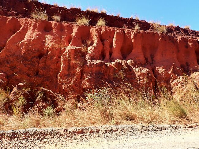 侵食された赤い岩肌は、マダカスカルで有名なツィンギーになるのでしょう。