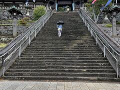 続いて歩いて諏訪神社へ
長崎くんちの神社だそうです。
結婚式が行われていました。
立派な神社でした。