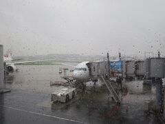 前日から大雨が続く羽田空港
出発できるかどうかも危ぶまれましたが、飛行機が飛んでよかった。