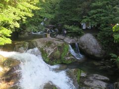 屋久島自然休養林
気軽に屋久島の森を鑑賞できるスポット