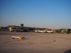 ドーハ空港に到着
朝日を浴びて輝いています。

