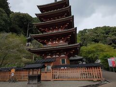 長谷寺にも五重塔がありました。こちらは、昭和29年に建てられたもので、戦後日本に初めて建てられた五重塔になるそうです。