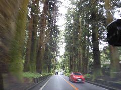 途中、杉並木を通ります。
時間があればちょっと歩いてみたかったですが、雨も降っていたし時間も・・・ということで車窓から樹齢の高そうな杉を見ながら通過。