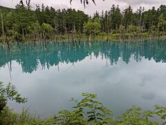 アルミニウムが北の水と出会うと青い光を作り出す。

いつまで、だろうか。

