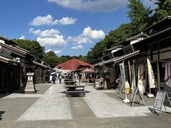 本丸から西の丸へ回り正門から名古屋城を後にします。
正門前の金シャチ横丁義直ゾーンは食事のお店が多く、猛暑の3時過ぎには人もまばらでした。

市役所前からまた基幹2に乗車し名古屋駅へ。
今回市バスのみ利用しましたが、休日のお陰か道は渋滞もなくスムーズに移動が出来ました。
またバスも空いていたので常に座って移動できました。