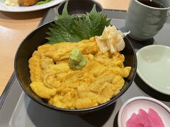 早速ウニ丼いただきます！残念ながらバフンウニの季節は終わってしまい、ムラサキウニだけですが、記憶に残るくらい、とーっても美味しかったです。お値段は可愛くないですが。