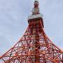８・10歳児連れ、全国旅行支援で東京タワーとスカイツリー、はとバスツアー