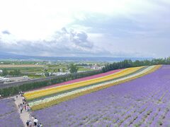 隣のファーム富田も行きます！これが今旅の目当てなので☆