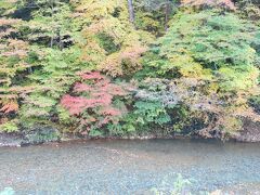 四万川ダムに向かう途中に見かけた四万川の澄んだ川面と、紅葉がきれい