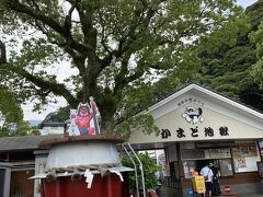 かまど地獄。
展示が工夫してあって、足湯(岩盤浴)や飲む温泉、蒸気を鼻や口から吸い込むなどの体験があります。