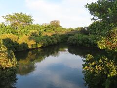 中都湿地公園