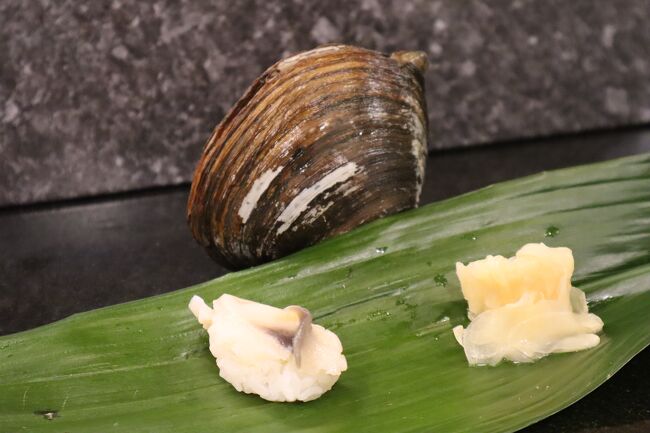 生ほっき<br />貝殻は、撮影の時ご店主が遊びで置いてくれたもの