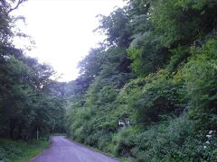 南アルプス林道を進みます
以前は、北沢峠までバスが走っていましたが崩落で車両通行止めになってしまいました