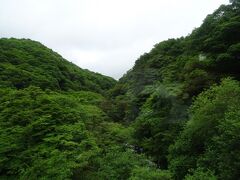 沿線のオススメスポットのアナウンスが入ります。
この辺りから、岩間から絹糸のように幾重にも流れ落ちる美しい〈吐竜の滝〉を車窓から見ることが出来るのですが、緑が生い茂るこの季節、肉眼で見ることは厳しいです。