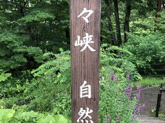 お次は近くの風光明媚な磊々（らいらい）峡・・のはずが。