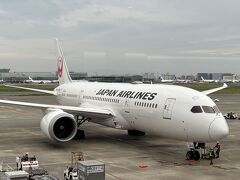 さて、我々が帰阪する飛行機が到着しました。

さすがにミッキーの塗装ではありませんが。

お疲れさまでした。