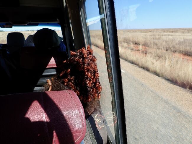 バスに乗っている女性の髪の毛。<br />ドリルヘアーと言って良いでしょうか。