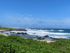 次に移動した先は、特に目的は無いけど波が荒々しかったので止まってみたマカプービーチ。