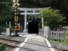 長谷駅から少し西側へと行ったところに鎮座している御霊神社。鳥居のすぐ目の前を江ノ電が通っていることでも有名です。
境内での写真撮影は禁止になっているため、踏切手前からの写真しか撮ることができませんでした。仕方ないですがマナーは守りましょう。