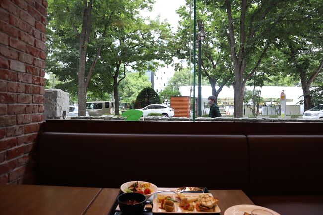 大通り公園に面した明るいテーブルを案内して頂きました<br /><br />