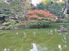 　関内駅で降りて、横浜公園の中を通り抜け、中華街を目指しました。横浜公園内にある日本庭園の彼我庭園です。