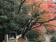 下って炭酸泉源公園