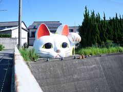 見守り猫のとこにゃんも撮影スポット