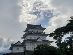 駅に戻るには小田原城を抜けていくのが近そうなので、小田原城の中を抜けていきます。

いまだに日本サルの展示をしていて、なんだか懐かしい。昔はゾウとかクマとかいたんですよねー。

インターネットのニュースで見たんですが、2023年12月にこのサルは茨城の動物園に引き取られることが決まっていて、その後、ついにサルの檻も撤去されるそうです。

サルの展示場小さかったから、引き取り先が決まって、よかった、よかった。

