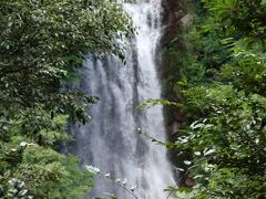 こちらが花房の滝。梅雨時かもしれませんが、水量は多いです。ここまで片道15分程度。