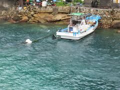 柏島港の水は綺麗でした！