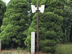 こちらは嘉瀬川近くの国道２０７号線沿いにある大きな森林公園です。
駐車場も無料でとても広いです。
公園内にはテニスコートやプロ野球も対応可能な立派な球場がありました。