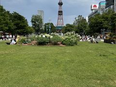 大通公園近くだったので、昨日に引き続きお散歩。花壇のお花が綺麗です。