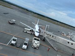 帰りの飛行機は爆睡でした。ドリのツアーと共に、私の食い倒れ旅もまだまだ続きます&#9992;️