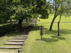 若草山山登り。
山といっても奈良公園側なら原っぱが広がっているので、
公園の大きな山を登っている感じ。
階段はかなりあるけど