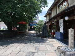 そして、前川邸の前にあるのが八木邸。

京の夏の旅ではなく、ここは常に公開しています。
手前のお菓子屋さんに入り、見学の旨を伝えると、半券とパンフが頂けます。

八木氏は、但馬の国（兵庫県養父郡朝倉の庄）に祖を発するというので、やはり一乗谷の朝倉氏とも所縁があります。