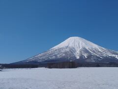 羊蹄山がくっきり、良い天気。