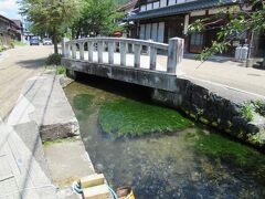 醒井宿は地蔵川に沿ってできている、と言っていいでしょうね。こんなに綺麗な清流がある宿場町は初めてですよ。