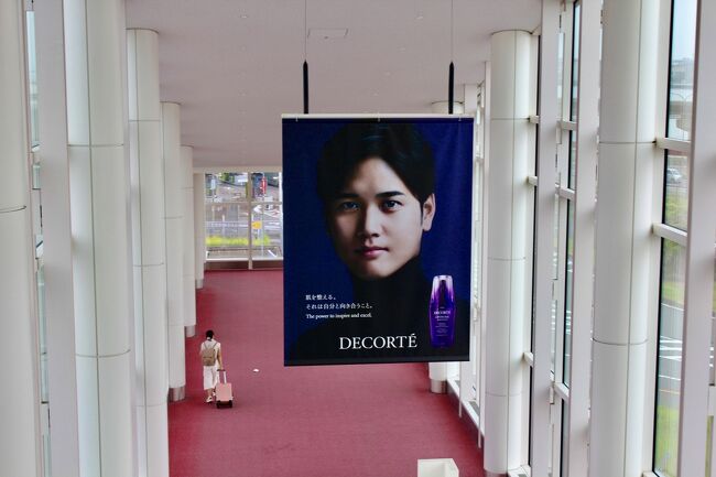 その後の日程<br />フランクフルトからパリ<br />６月２５日～２９日     パリ泊<br />６月３０日～７月４日  ロンドン泊<br />７月５日 ～ ９日 ナポリ泊<br />７月１０日～１３日 ローマ泊<br />ローマ発　夜間飛行遅れて<br />７月１４日  ベルリン 午前０時回って到着<br />１４日～１６日  ベルリン泊<br />１７日～ フランクフルト～　木組みの町　日帰り<br />１８日～ フランクフルト空港　夜間飛行<br />１９日 ～ホーチミン泊<br />２０日 ～帰国<br />